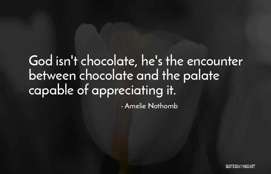 Amelie Nothomb Quotes 785205