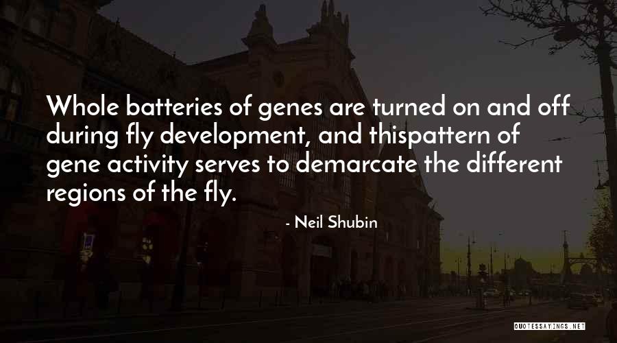 Ameline Joueuse Quotes By Neil Shubin Ameline Joueuse Quotes By Neil Shubin
