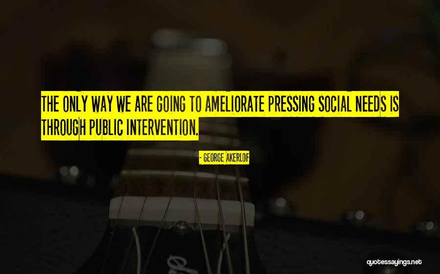 Ameliorate Quotes By George Akerlof Ameliorate Quotes By George Akerlof