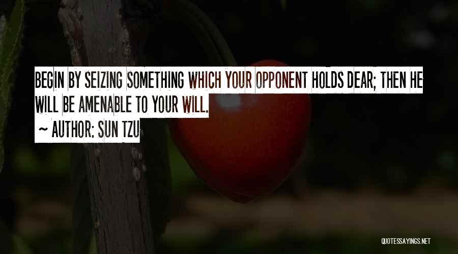 Amenable Quotes By Sun Tzu