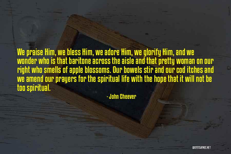 Amend Quotes By John Cheever Amend Quotes By John Cheever