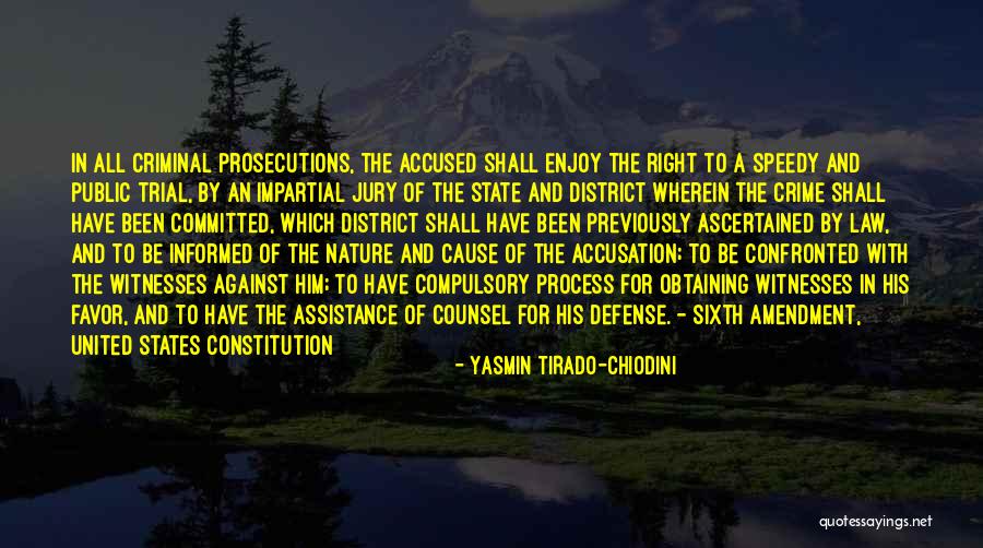 Amendment Process Quotes By Yasmin Tirado-Chiodini Amendment Process Quotes By Yasmin Tirado-Chiodini