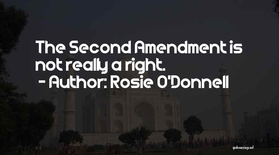 Amendments 1-10 Quotes By Rosie O'Donnell