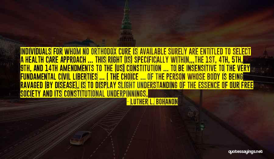 Amendments To The Constitution Quotes By Luther L. Bohanon