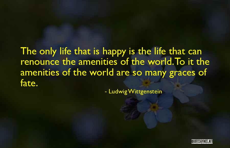 Amenities Quotes By Ludwig Wittgenstein Amenities Quotes By Ludwig Wittgenstein