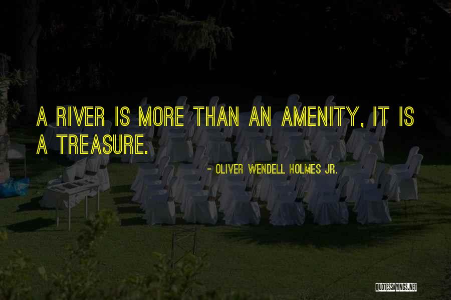 Amenity Quotes By Oliver Wendell Holmes Jr. Amenity Quotes By Oliver Wendell Holmes Jr.