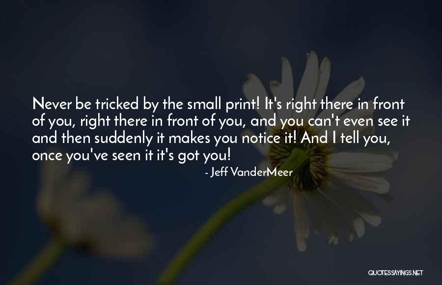 Amenity Synonym Quotes By Jeff VanderMeer