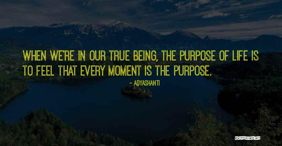 Amentia Quotes By Adyashanti Amentia Quotes By Adyashanti