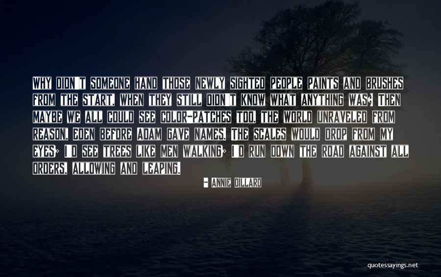 Amereed Quotes By Annie Dillard Amereed Quotes By Annie Dillard