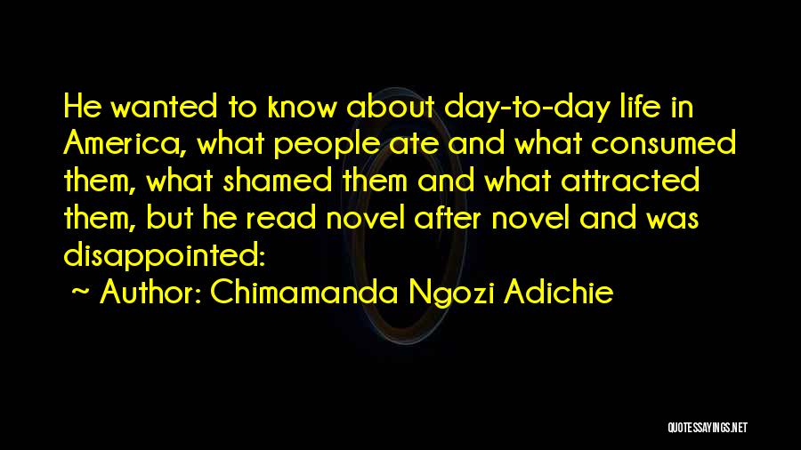 America Day Quotes By Chimamanda Ngozi Adichie