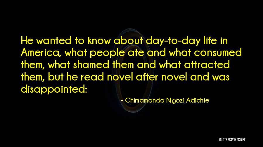 America Day Quotes By Chimamanda Ngozi Adichie