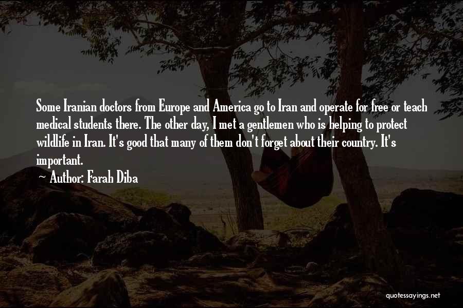 America Helping Others Quotes By Farah Diba