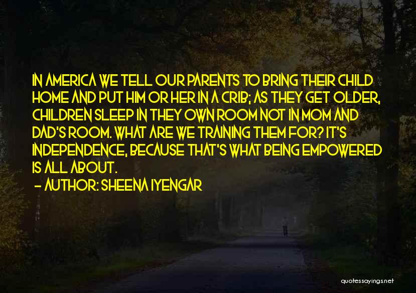 America Independence Quotes By Sheena Iyengar