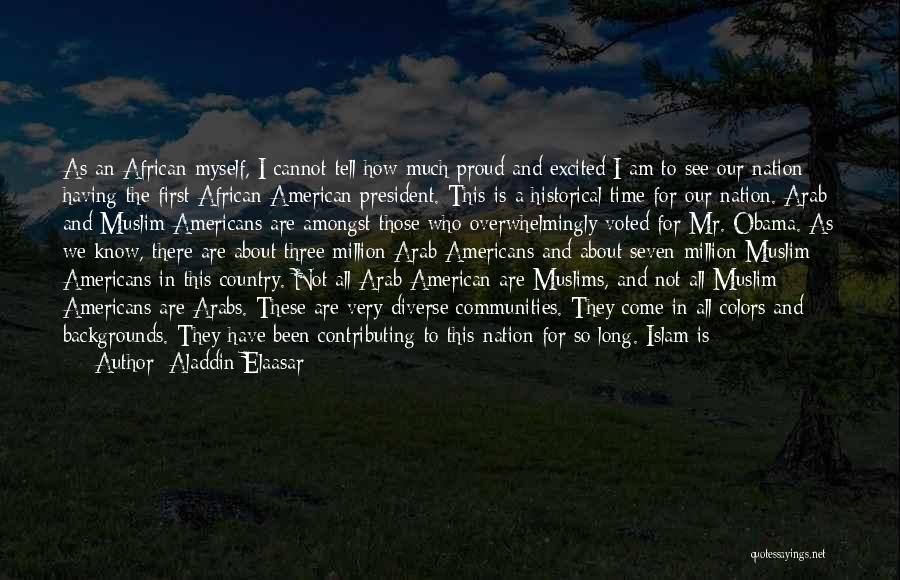 America Is Diverse Quotes By Aladdin Elaasar