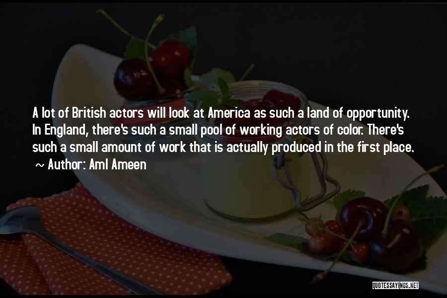 America Land Of Opportunity Quotes By Aml Ameen