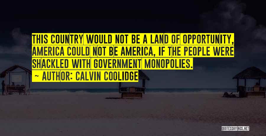 America Land Of Opportunity Quotes By Calvin Coolidge