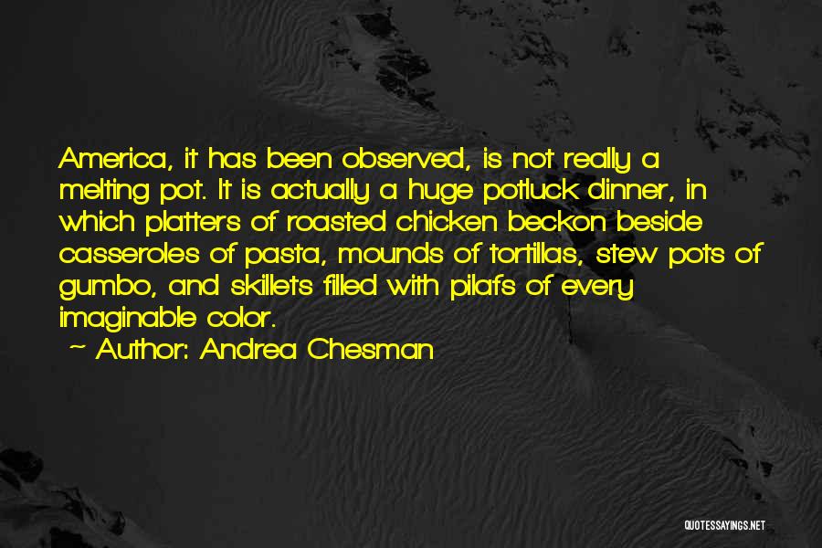 America Melting Pot Quotes By Andrea Chesman