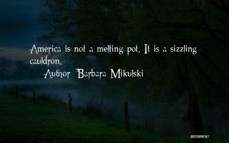 America Melting Pot Quotes By Barbara Mikulski