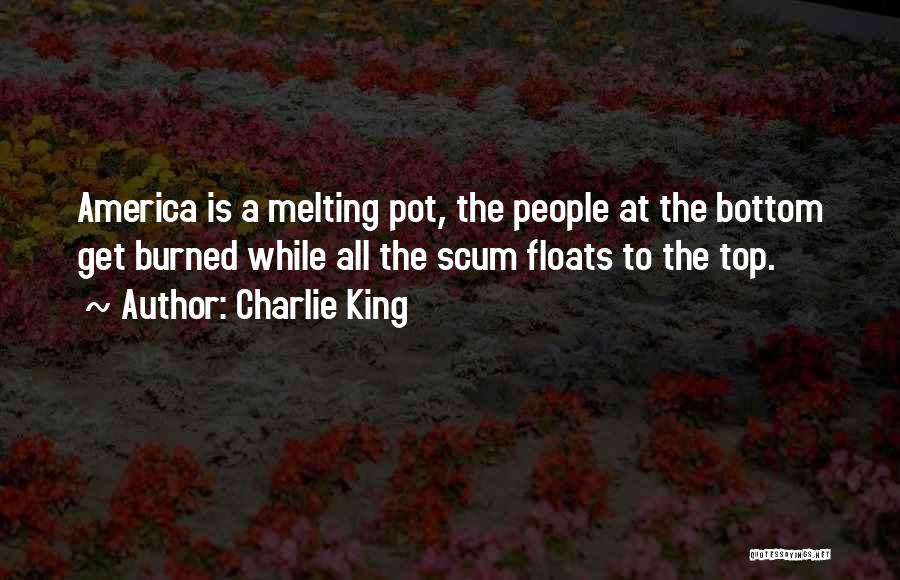 America Melting Pot Quotes By Charlie King
