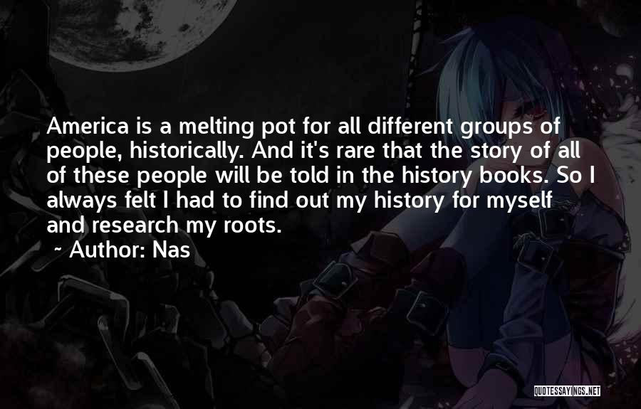 America Melting Pot Quotes By Nas