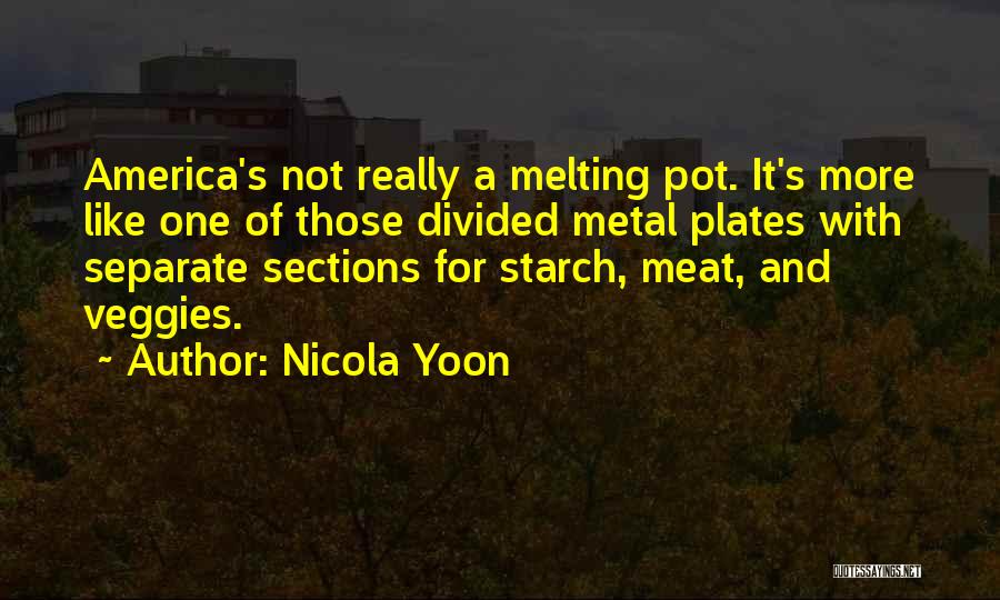 America Melting Pot Quotes By Nicola Yoon