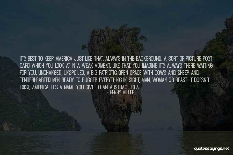 America Patriotic Quotes By Henry Miller