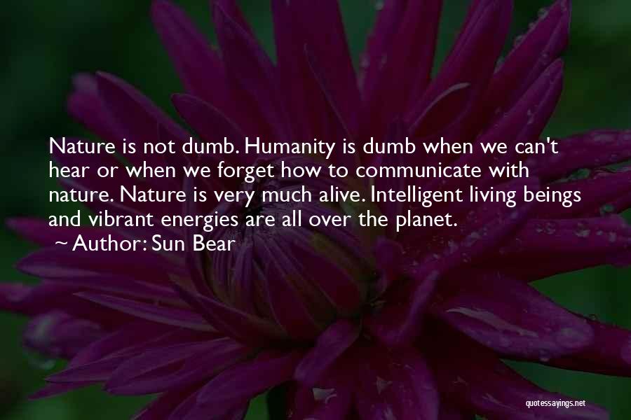 American Beauty Beauty Quotes By Sun Bear