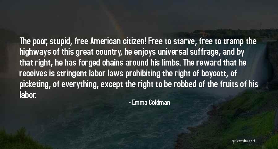 American Citizen Quotes By Emma Goldman