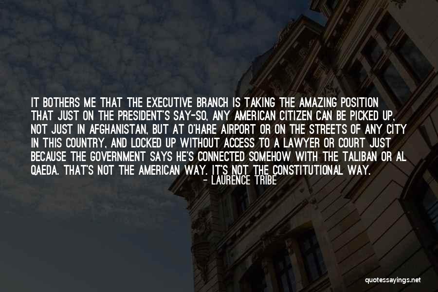 American Citizen Quotes By Laurence Tribe