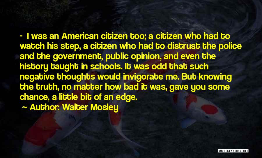 American Citizen Quotes By Walter Mosley