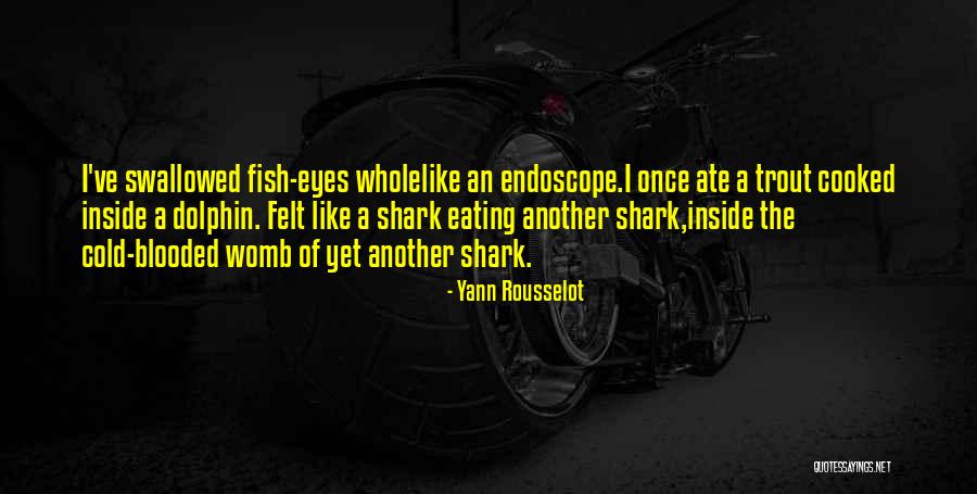 American Dad Rapture Episode Quotes By Yann Rousselot American Dad Rapture Episode Quotes By Yann Rousselot