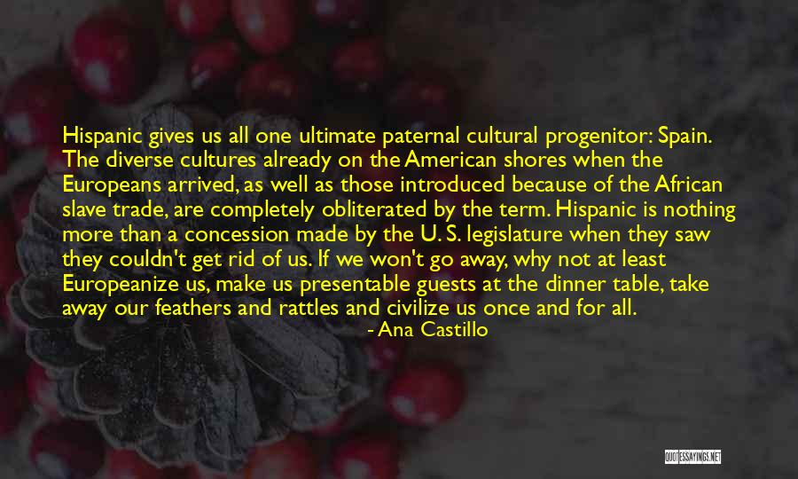 American Diversity Quotes By Ana Castillo