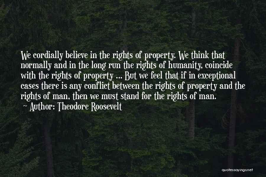 American Dream Quotes By Theodore Roosevelt