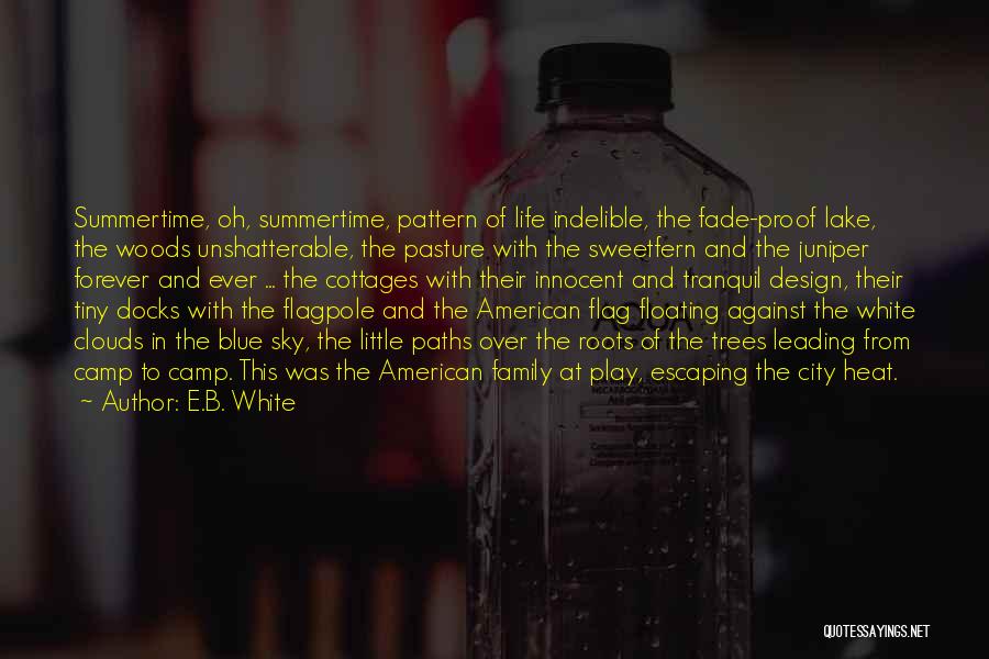 American Flag Quotes By E.B. White