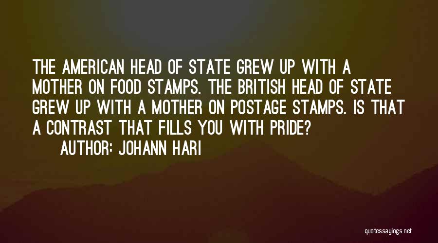 American Food Quotes By Johann Hari