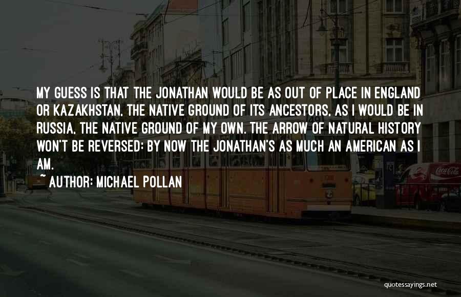 American Food Quotes By Michael Pollan