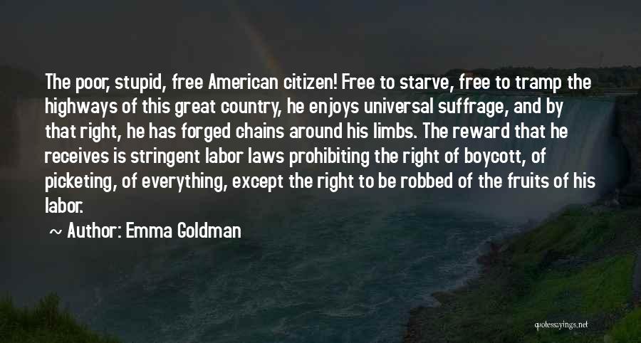 American Freedom Quotes By Emma Goldman