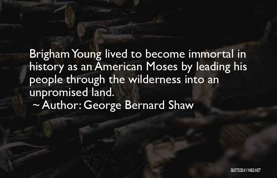 American History Quotes By George Bernard Shaw