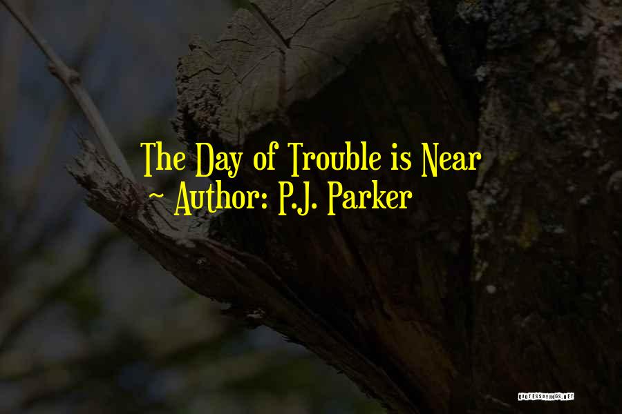 American History Quotes By P.J. Parker