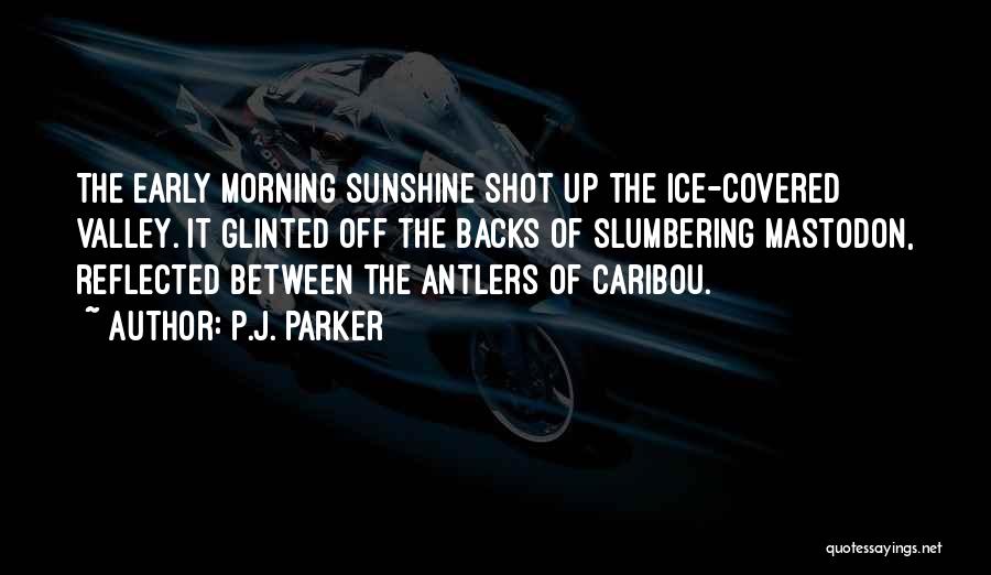 American History X Inspirational Quotes By P.J. Parker