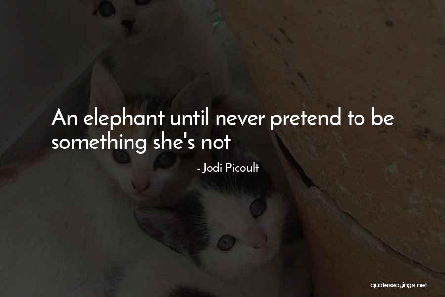 American Horror Story Coven Kyle Quotes By Jodi Picoult
