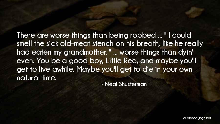American Housewife Quotes By Neal Shusterman American Housewife Quotes By Neal Shusterman