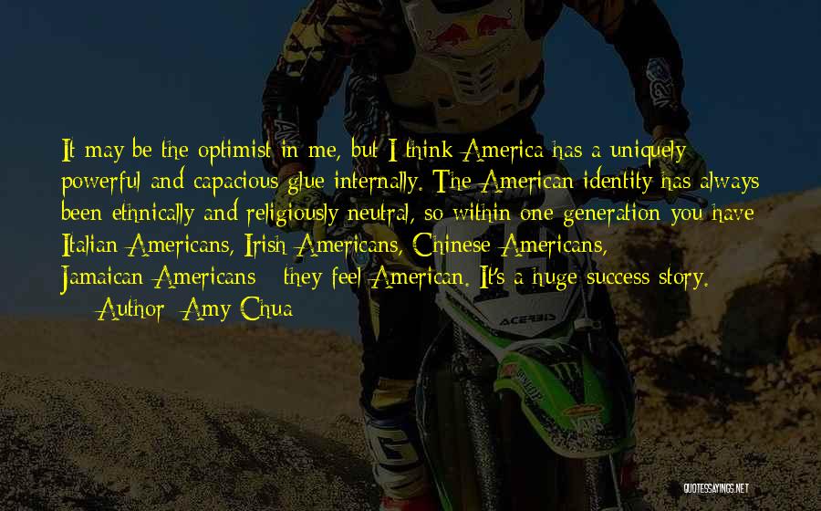 American Identity Quotes By Amy Chua