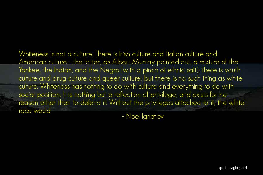 American Indian Culture Quotes By Noel Ignatiev American Indian Culture Quotes By Noel Ignatiev