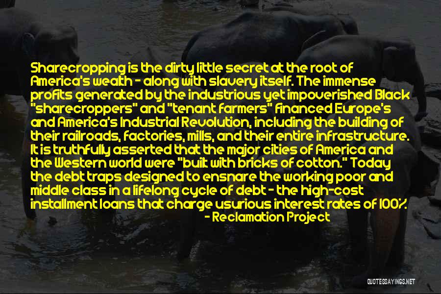 American Industrial Revolution Quotes By Reclamation Project