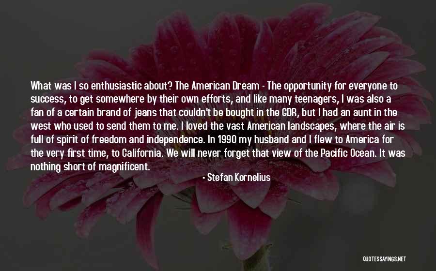 American Landscapes Quotes By Stefan Kornelius