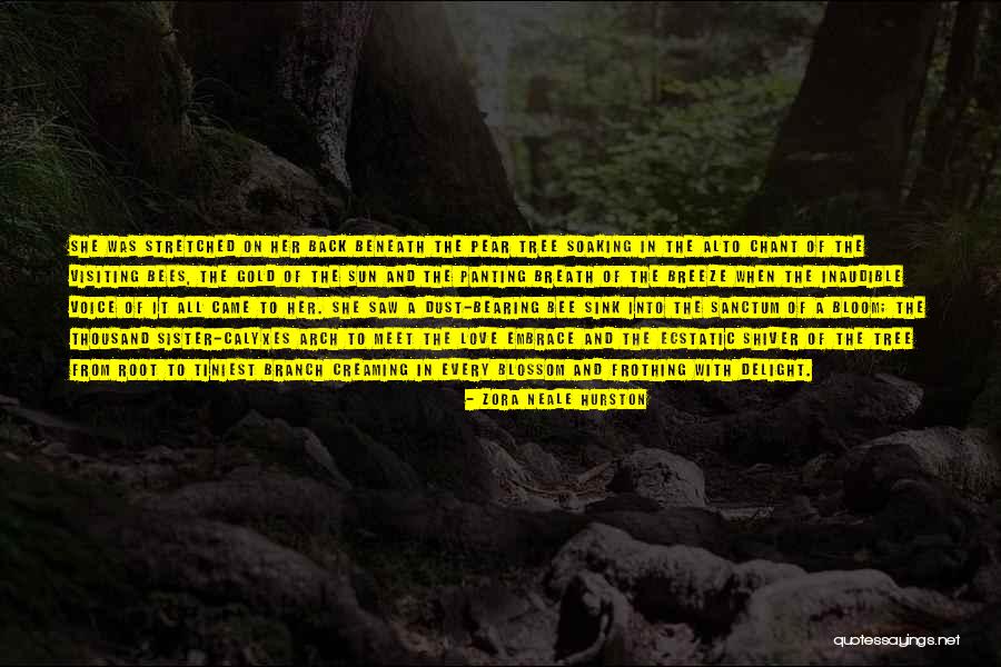 American Literature Love Quotes By Zora Neale Hurston American Literature Love Quotes By Zora Neale Hurston