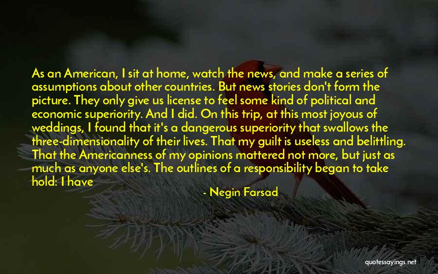 American News Quotes By Negin Farsad