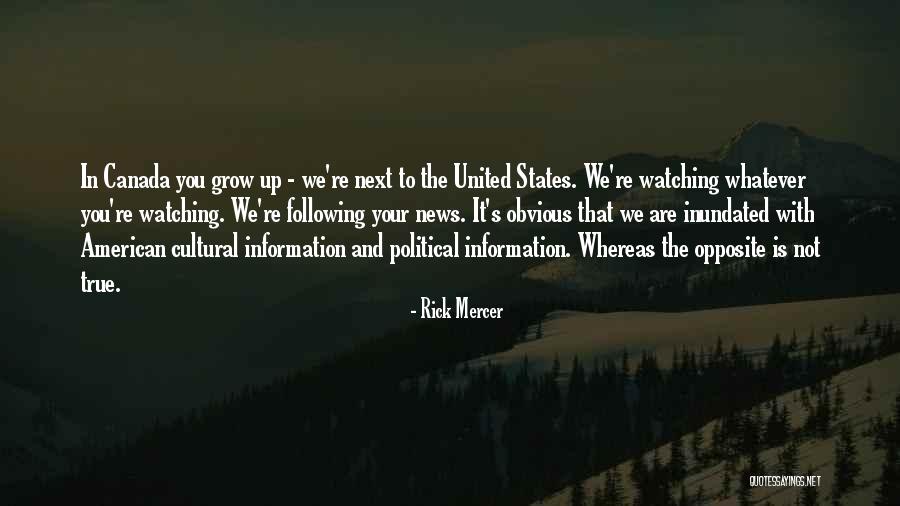 American News Quotes By Rick Mercer