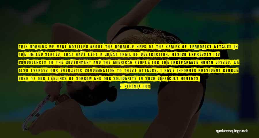 American News Quotes By Vicente Fox